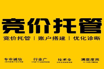百度信息流广告的投放策略与效果对比